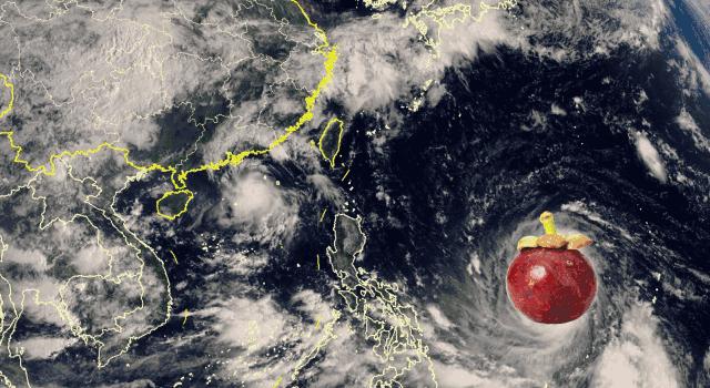 廈門臺(tái)風(fēng)最新消息，臺(tái)風(fēng)動(dòng)態(tài)與應(yīng)對(duì)措施